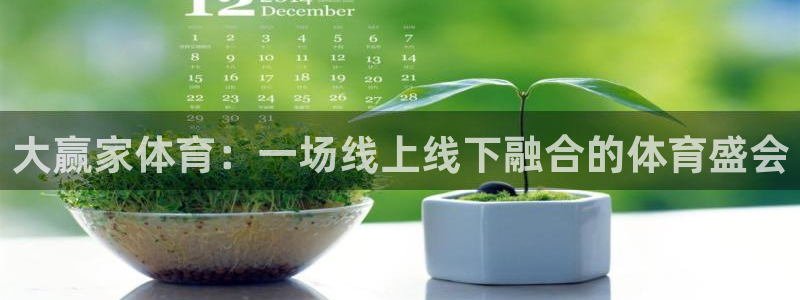 大赢家体育：一场线上线下融合的体育盛会
