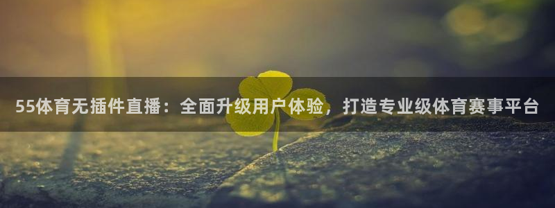 55体育无插件直播：全面升级用户体验，打造专业级体育赛事平台