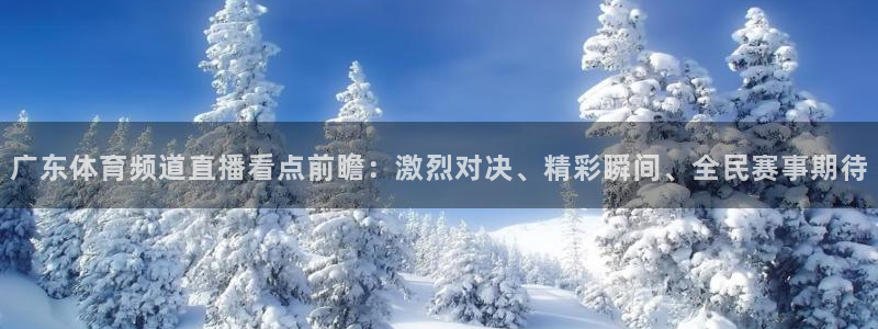 广东体育频道直播看点前瞻：激烈对决、精彩瞬间、全民赛事期待