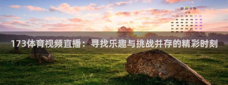 173体育视频直播：寻找乐趣与挑战并存的精彩时刻