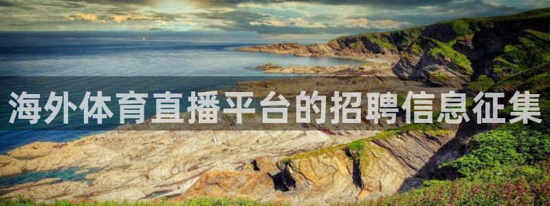 海外体育直播平台的招聘信息征集
