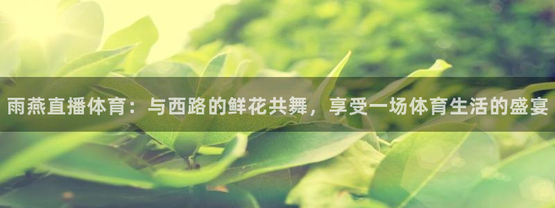 雨燕直播体育：与西路的鲜花共舞，享受一场体育生活的盛宴