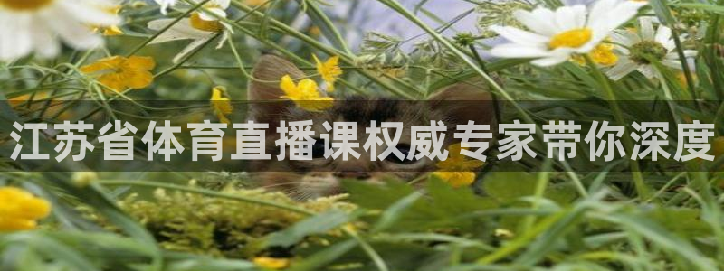 江苏省体育直播课权威专家带你深度