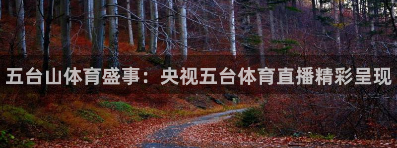 五台山体育盛事：央视五台体育直播精彩呈现