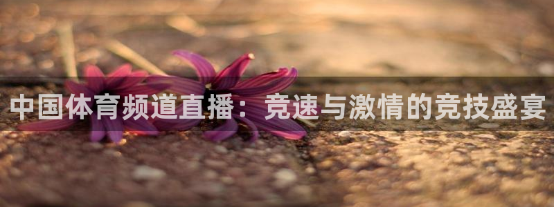 中国体育频道直播：竞速与激情的竞技盛宴