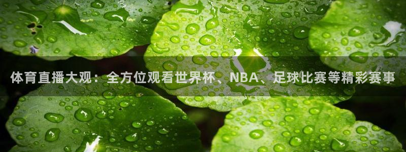 体育直播大观：全方位观看世界杯、NBA、足球比赛等精彩赛事