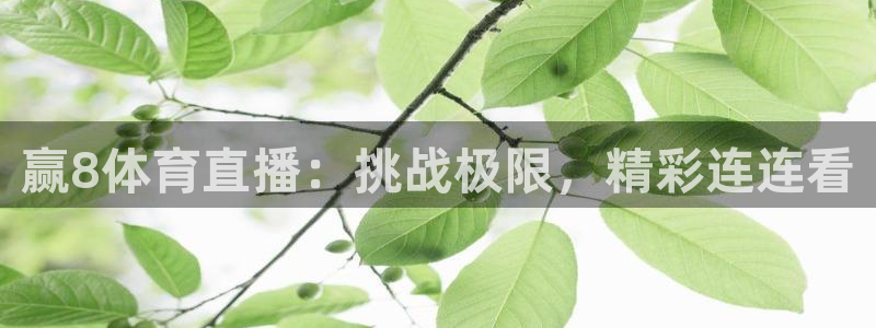 赢8体育直播：挑战极限，精彩连连看