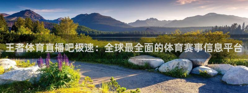 王者体育直播吧极速：全球最全面的体育赛事信息平台