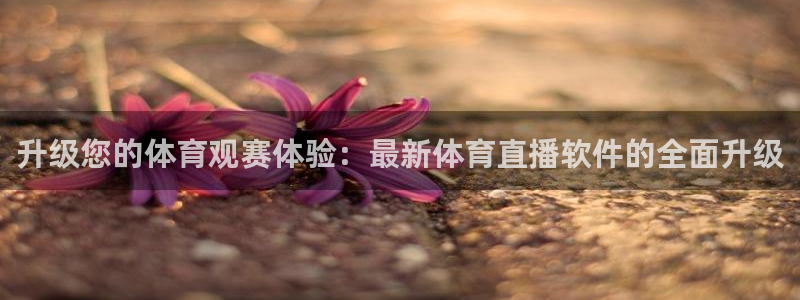 升级您的体育观赛体验：最新体育直播软件的全面升级