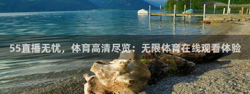55直播无忧，体育高清尽览：无限体育在线观看体验