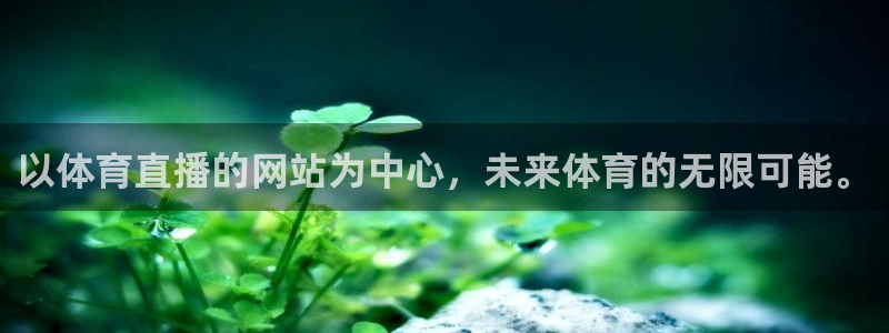 以体育直播的网站为中心，未来体育的无限可能。