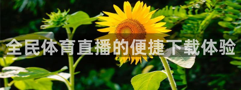 全民体育直播的便捷下载体验